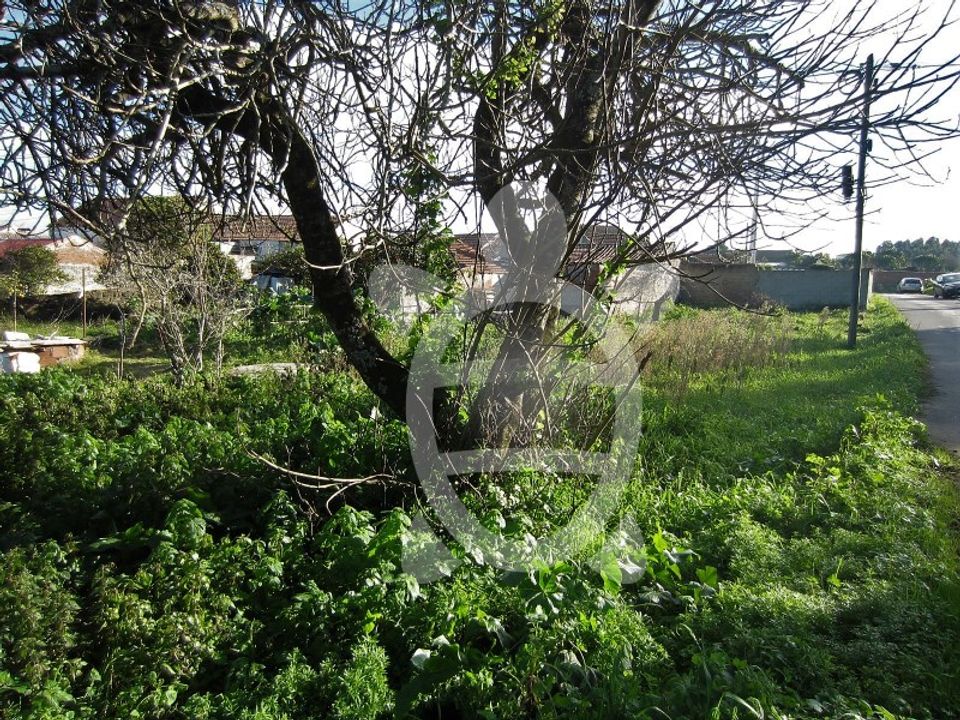Helårsgrund i Lavos, Coimbra - foto 2