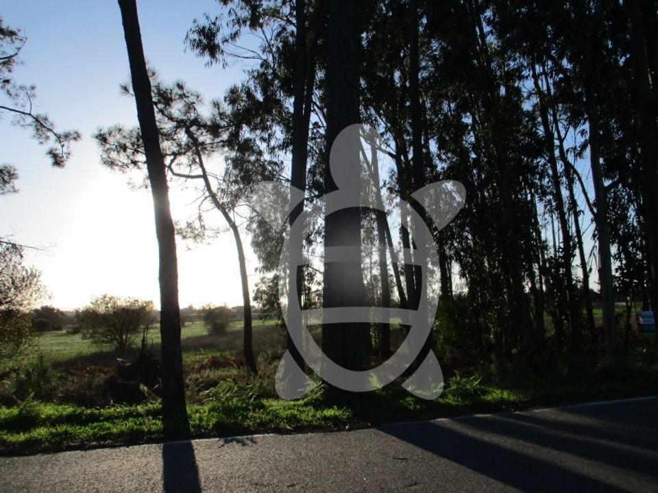 Helårsgrund i Bom Sucesso, Aveiro - foto 2