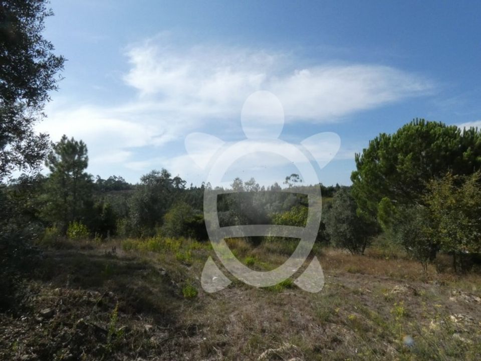 Helårsgrund i Assafarge e Antanhol, Coimbra - foto 3