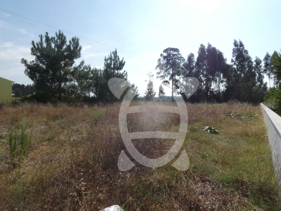 Helårsgrund i Anca, Coimbra - foto 3