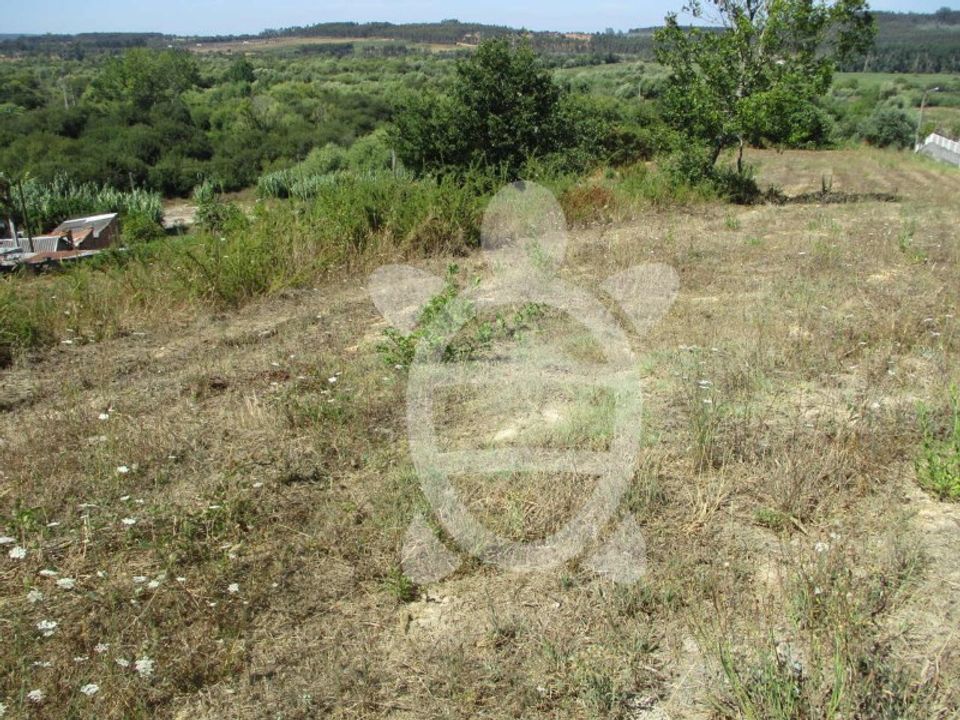 Helårsgrund i Figueiro do Campo, Coimbra - foto 2