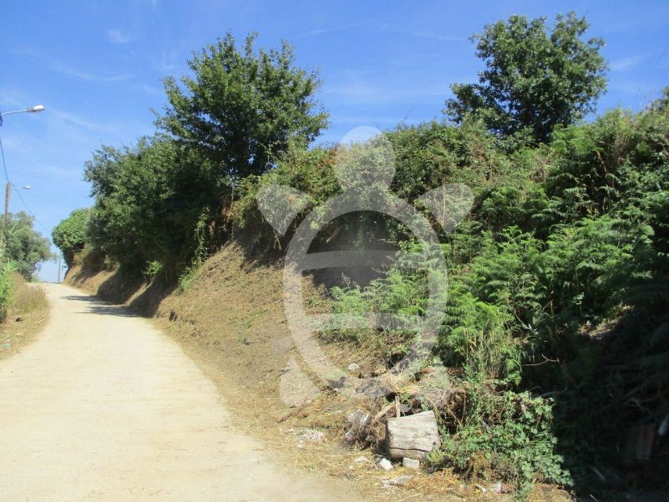 Helårsgrund i Figueiro do Campo, Coimbra - foto 4