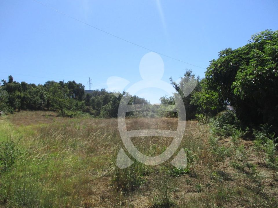 Helårsgrund i Figueiro do Campo, Coimbra - foto 5