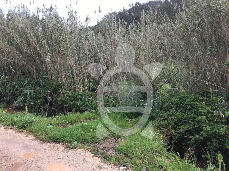 Helårsgrund i Vila Verde, Coimbra - foto 4
