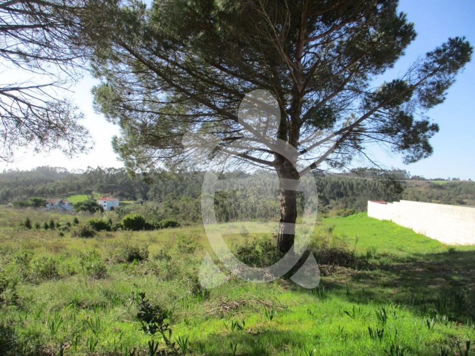 Helårsgrund i Figueira da Foz, Coimbra - foto 5