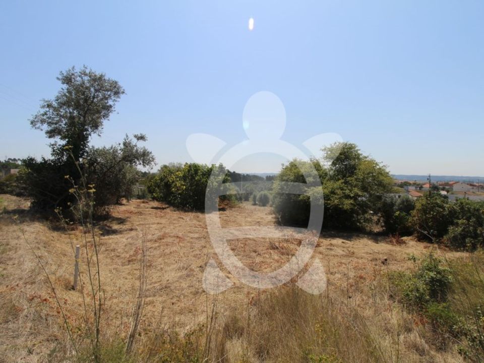 Helårsgrund i Vila Verde, Coimbra - foto 3
