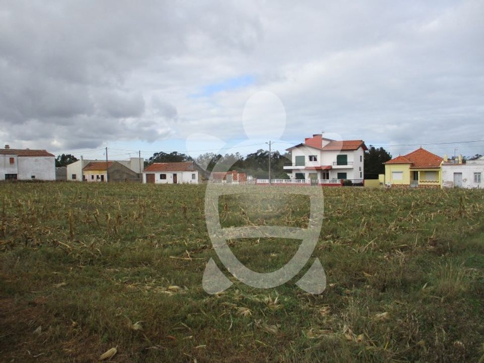 Helårsgrund i Lavos, Coimbra - foto 4