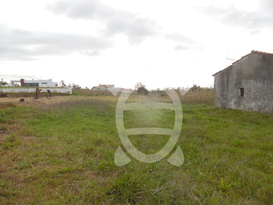 Helårsgrund i Condeixa-a-Nova, Coimbra - foto 2