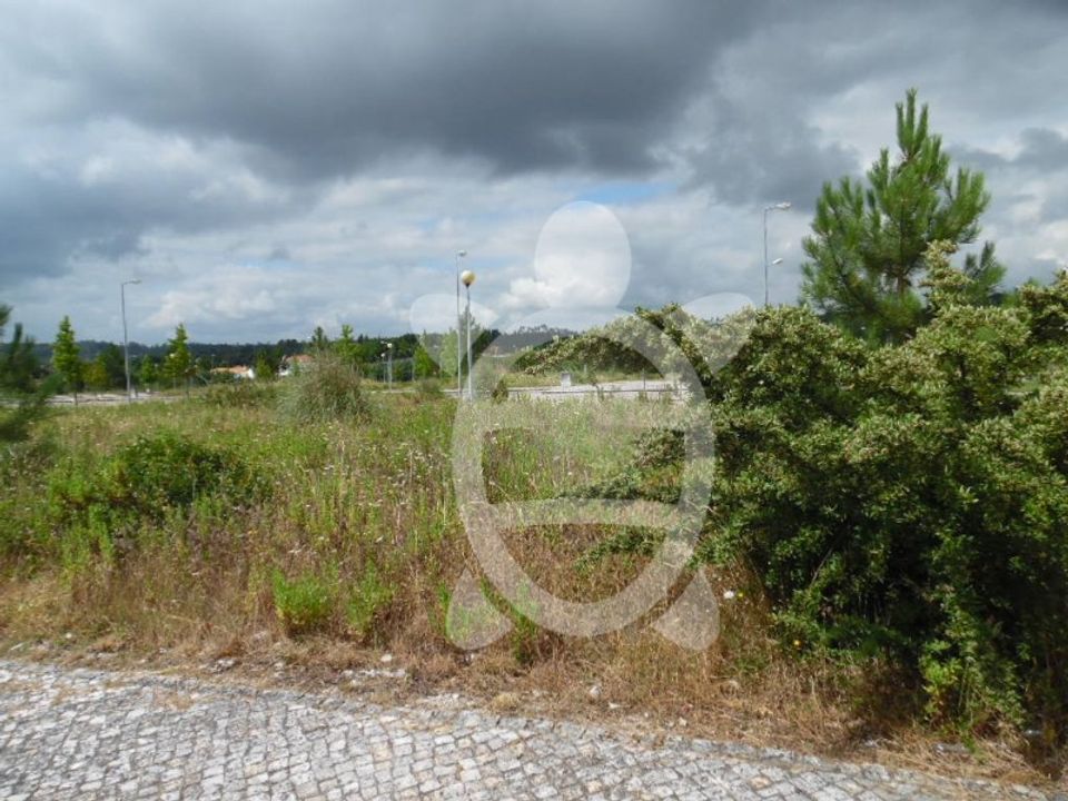 Helårsgrund i Anca, Coimbra - foto 3
