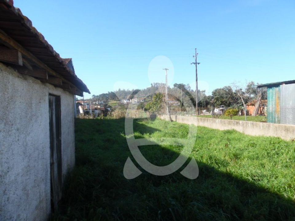 Helårsgrund i Coimbra, Coimbra - foto 3