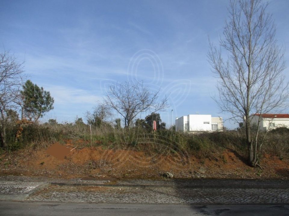 Grond in Condeixa-a-Nova, Coimbra - foto 5