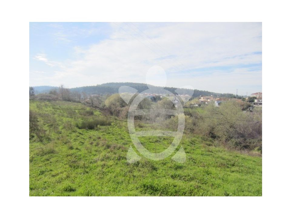 Helårsgrund i Soure, Coimbra - foto 3
