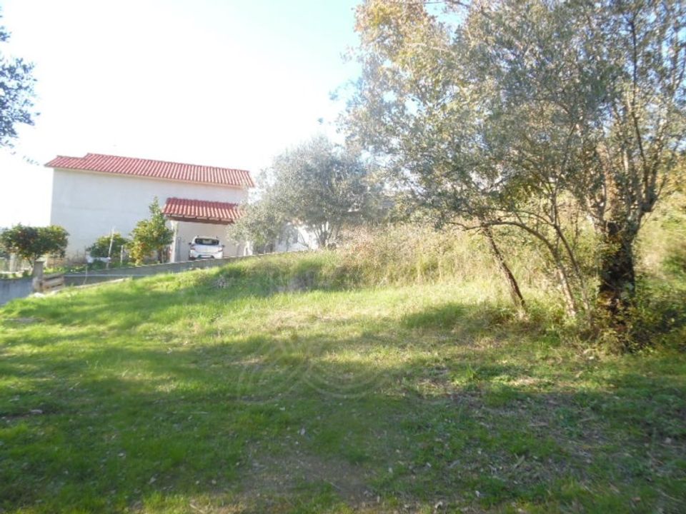 Helårsgrund i Condeixa-a-Nova, Coimbra - foto 1