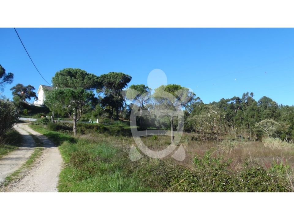 Helårsgrund i Assafarge e Antanhol, Coimbra - foto 4