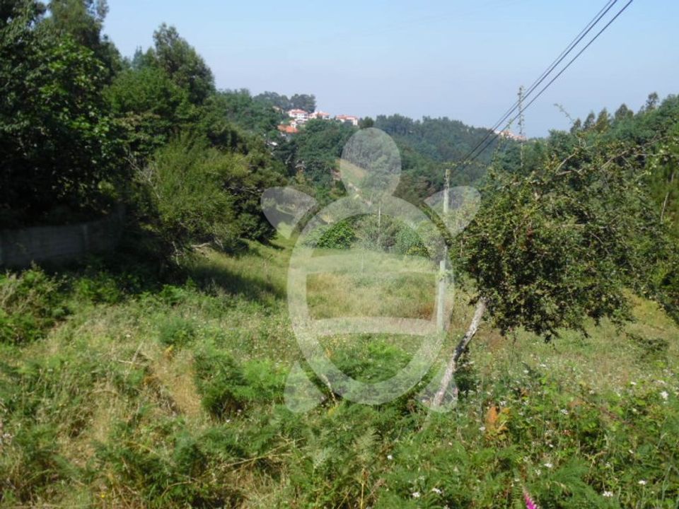 Helårsgrund i Coimbra, Coimbra - foto 3
