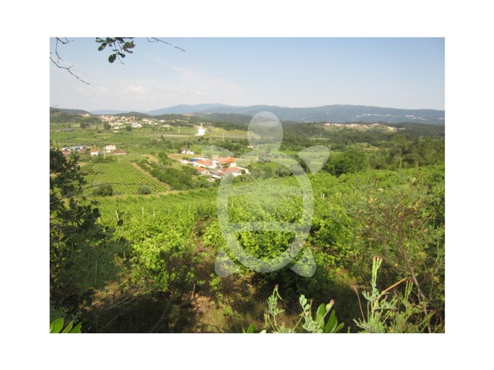 Helårsgrund i Miranda do Corvo, Coimbra - foto 1