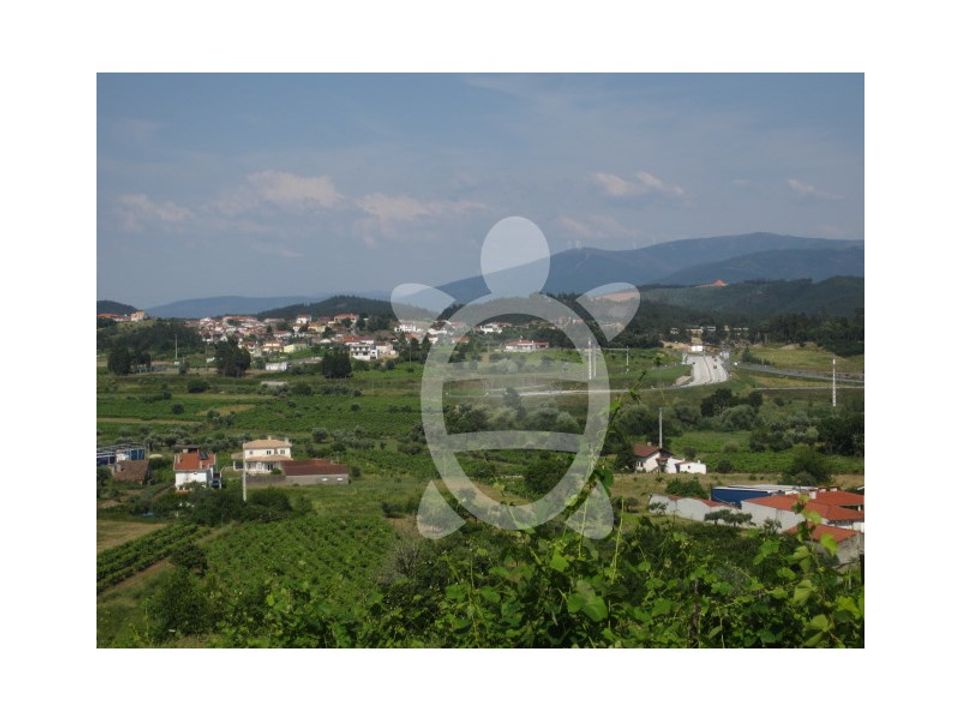 Helårsgrund i Miranda do Corvo, Coimbra - foto 2