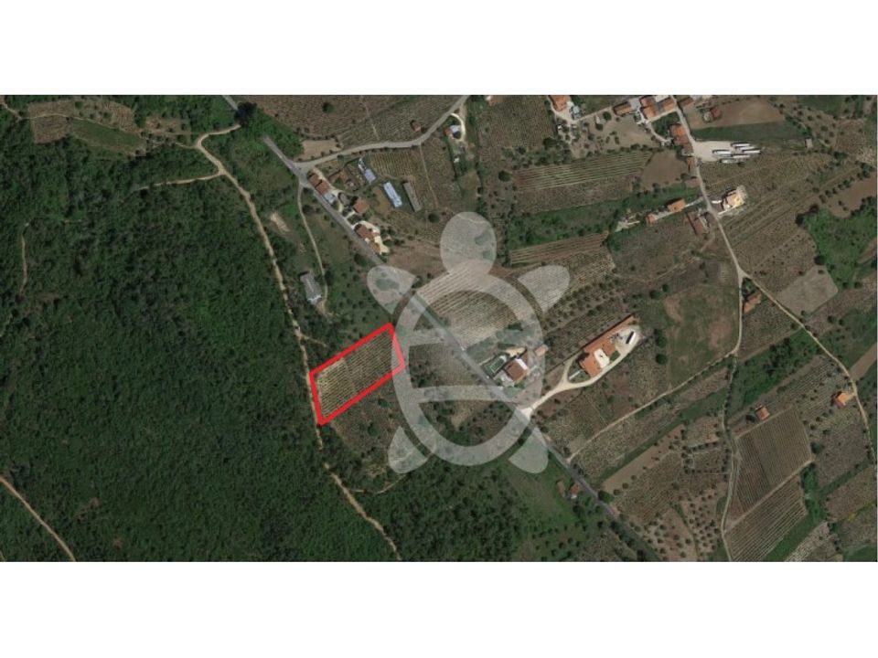 Helårsgrund i Miranda do Corvo, Coimbra - foto 3