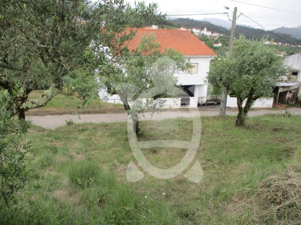 Helårsgrund i Penela, Coimbra - foto 3