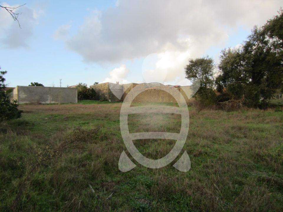 Helårsgrund i Cantanhede, Coimbra - foto 5