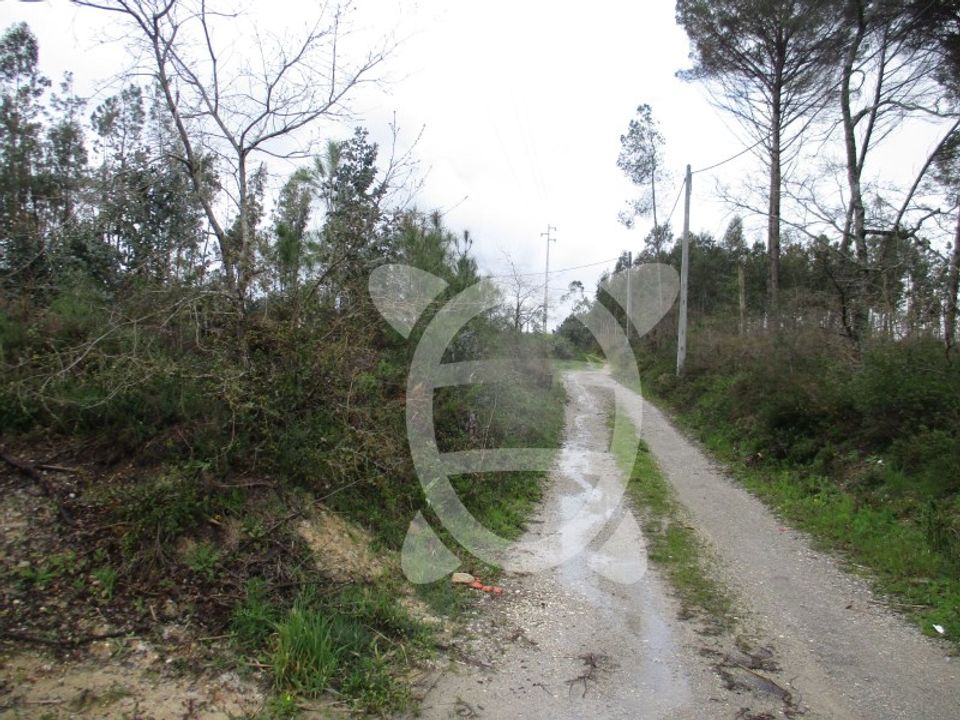 Helårsgrund i Coimbra, Coimbra - foto 4