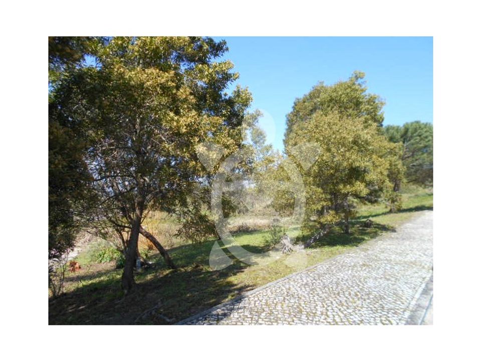 Helårsgrund i Tavarede, Coimbra - foto 1
