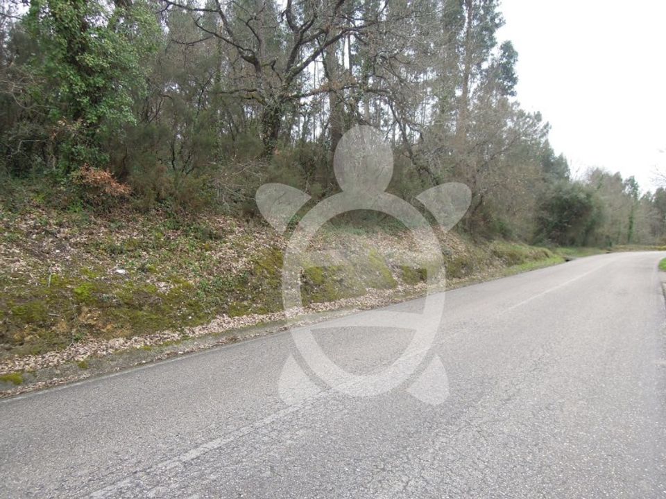 Terreno en Soure, Coimbra - foto 1