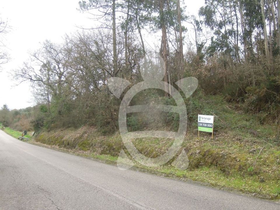 Terreno en Soure, Coimbra - foto 3