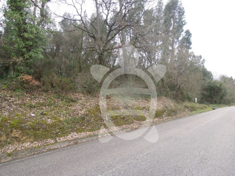 Terreno en Soure, Coimbra - foto 5