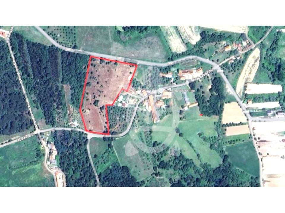 Terreno en Soure, Coimbra - foto 4