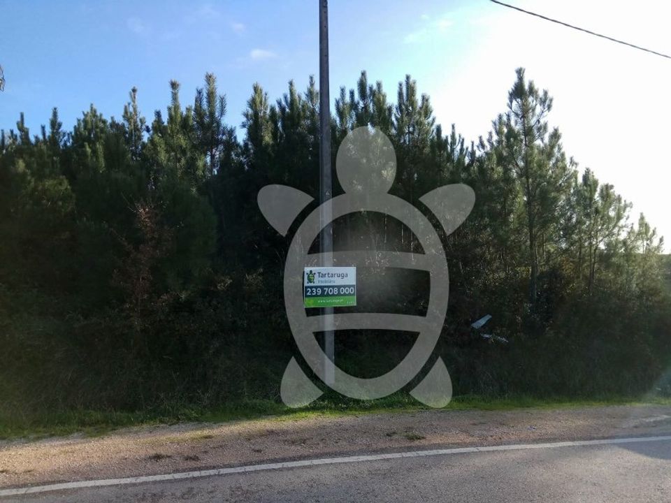 Helårsgrund i Tavarede, Coimbra - foto 3