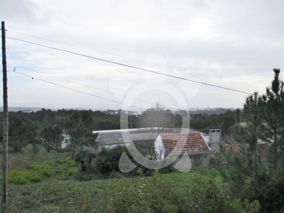 Helårsgrund i Tavarede, Coimbra - foto 4