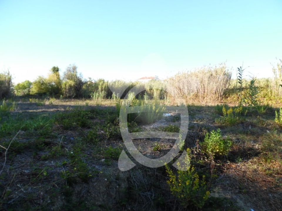 Grond in Condeixa-a-Nova, Coimbra - foto 2