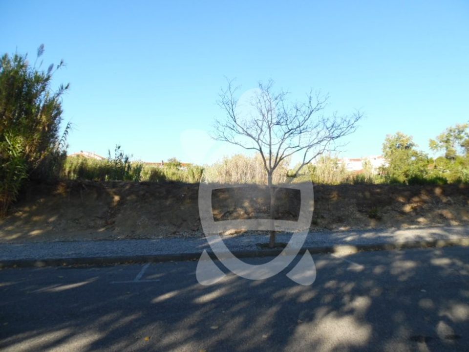 Grond in Condeixa-a-Nova, Coimbra - foto 4