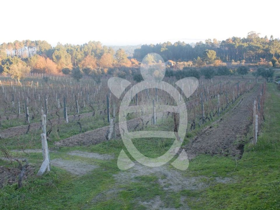 Helårsgrund i Vila Nova de Tazem, Guarda - foto 1