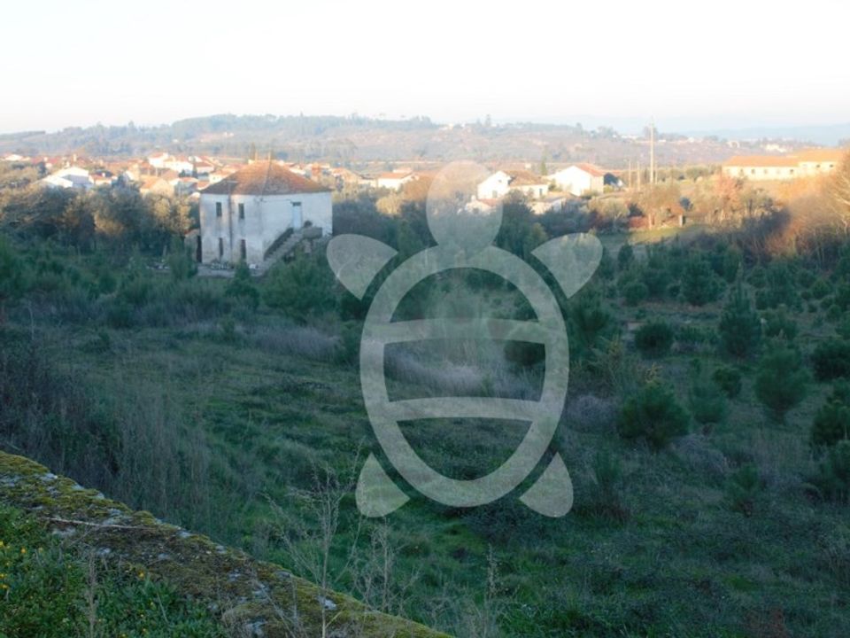 Helårsgrund i Vila Nova de Tazem, Guarda - foto 3