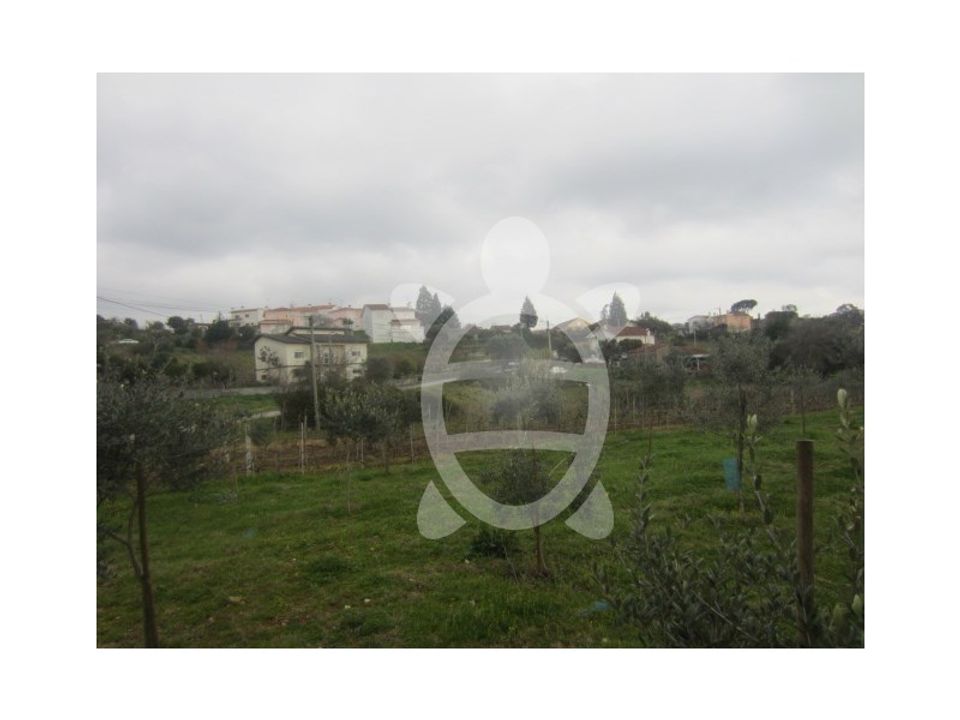 Helårsgrund i Coimbra, Coimbra - foto 2
