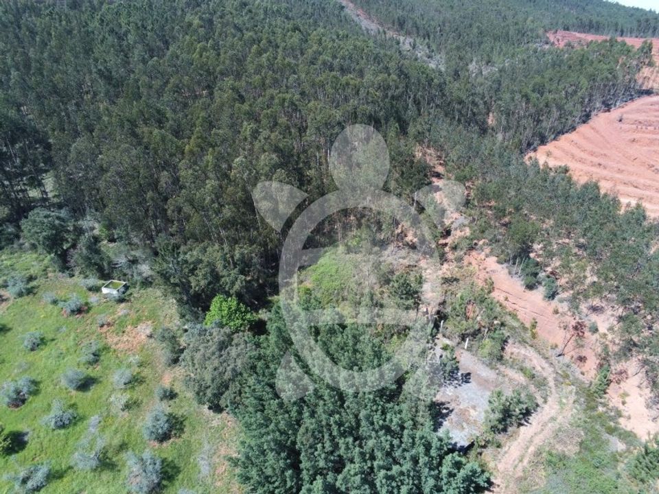 Helårsgrund i Miranda do Corvo, Coimbra - foto 2