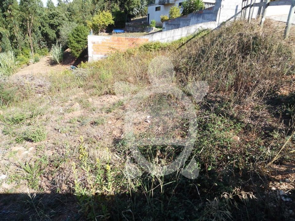 Tomt i Ceira, Coimbra - bilde 4