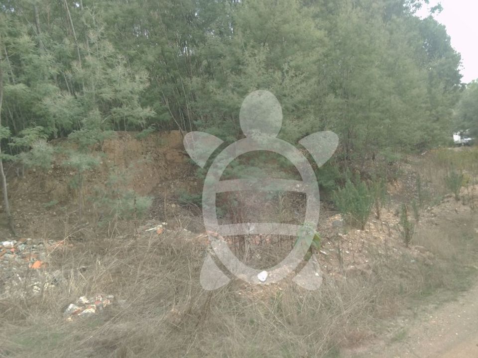 Helårsgrund i Coimbra, Coimbra - foto 2