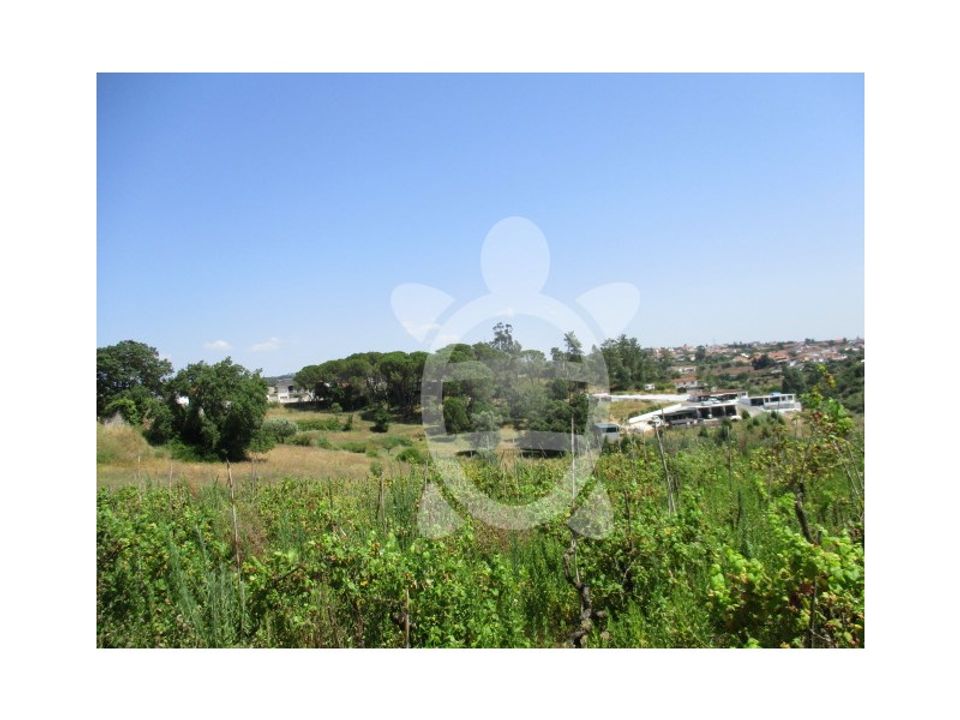 Helårsgrund i Coimbra, Coimbra - foto 3