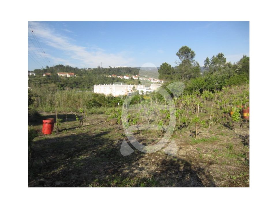 Helårsgrund i Coimbra, Coimbra - foto 3