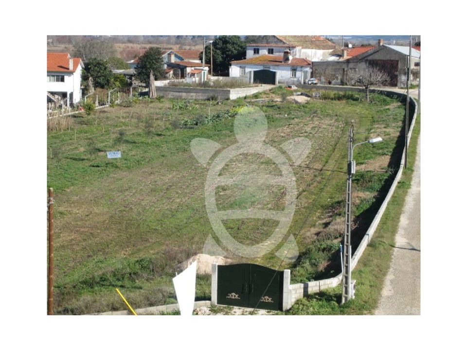 Helårsgrund i Coimbra, Coimbra - foto 1