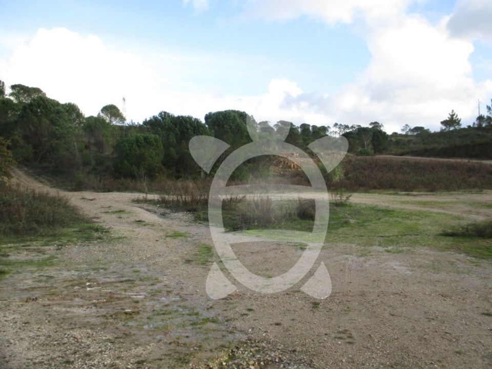 Terra em Cernache, Coimbra - foto 3