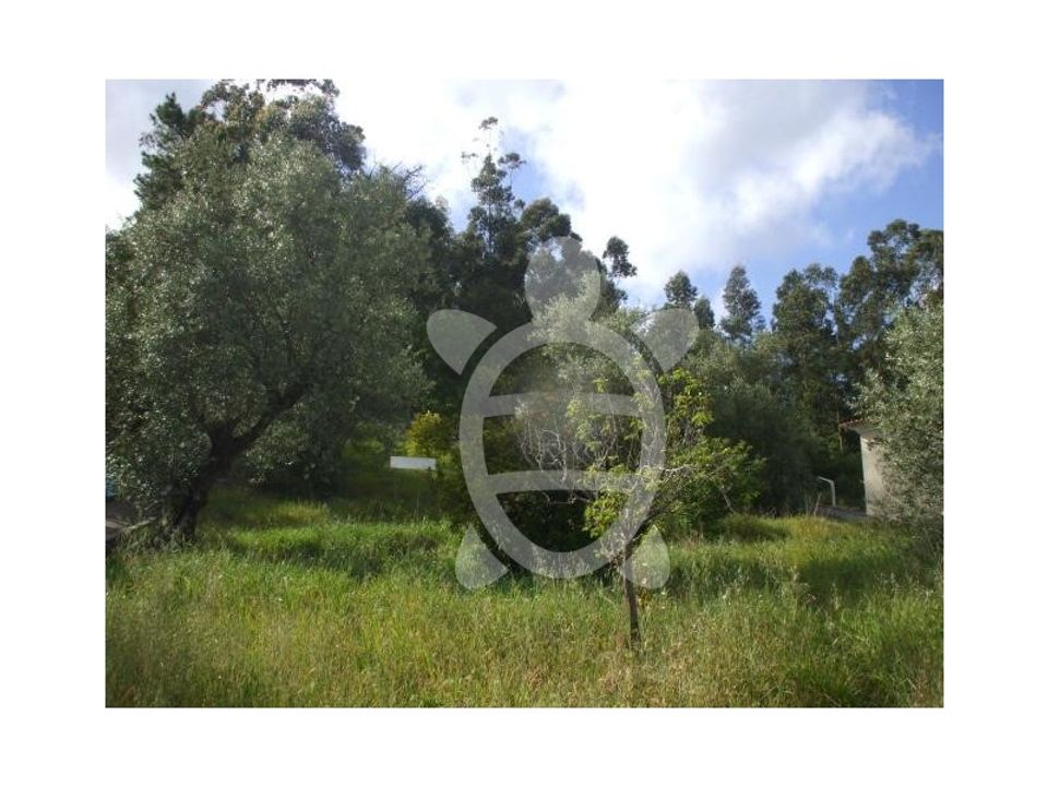 Terra em Cernache, Coimbra - foto 3