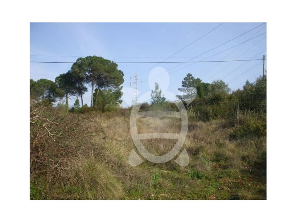 Helårsgrund i Assafarge e Antanhol, Coimbra - foto 2