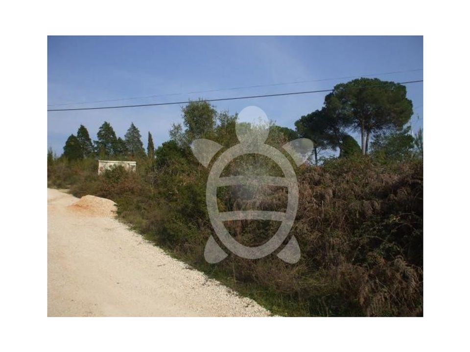 Helårsgrund i Assafarge e Antanhol, Coimbra - foto 3