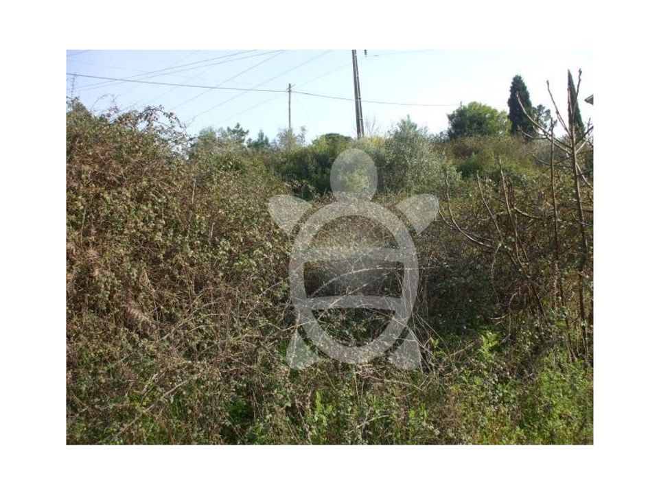 Helårsgrund i Assafarge e Antanhol, Coimbra - foto 5