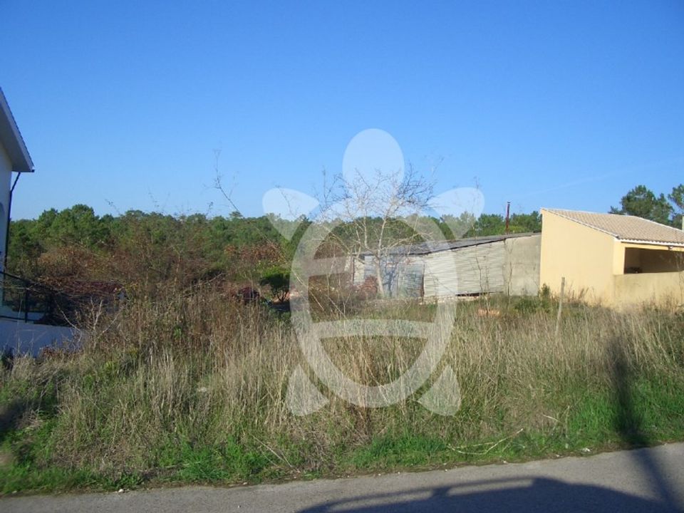 Helårsgrund i Cernache, Coimbra - foto 3