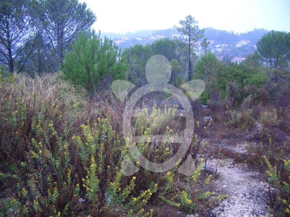 Helårsgrund i Assafarge e Antanhol, Coimbra - foto 3